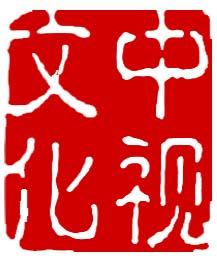 中视文化传播