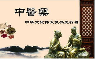 丝路传杏林，仁心润万邦 中医学者谭镇平推动中医药文化在新时代丝路上绽放异彩