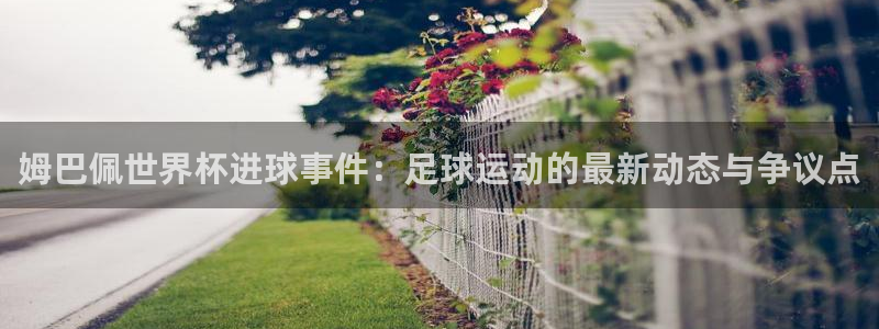 中国 世界杯:姆巴佩世界杯进球事件:足球运动的最新动态与争议点
