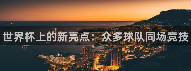 足球世预赛:世界杯上的新亮点:众多球队同场竞技