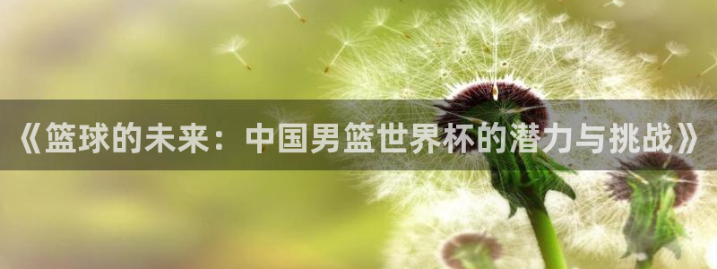 足球世界杯2026年赛程时间表:《篮球的未来:中国男篮世界杯的潜力与挑战》