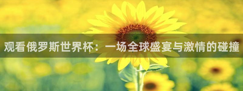 世界杯对阵图2026:观看俄罗斯世界杯:一场全球盛宴与激情的碰撞