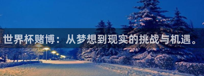 世界杯预选赛排名:世界杯赌博:从梦想到现实的挑战与机遇。
