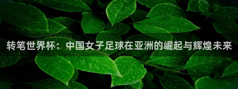 世界杯球赛:转笔世界杯:中国女子足球在亚洲的崛起与辉煌未来