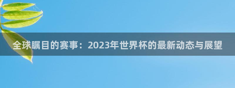 国际足联世界杯:全球瞩目的赛事:2023年世界杯的最新动态与展望