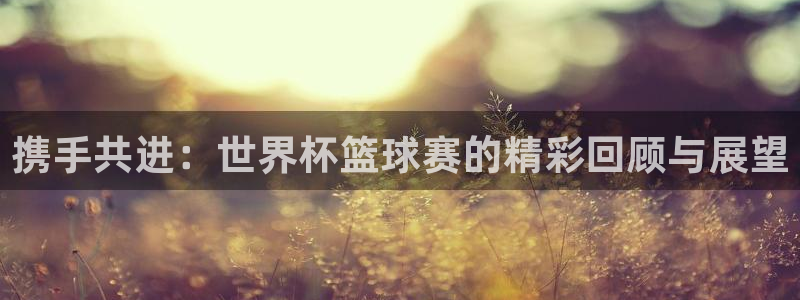 世界杯48支球队赛制:携手共进:世界杯篮球赛的精彩回顾与展望