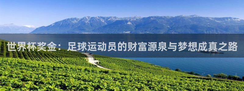 世界杯 2026:世界杯奖金:足球运动员的财富源泉与梦想成真之路