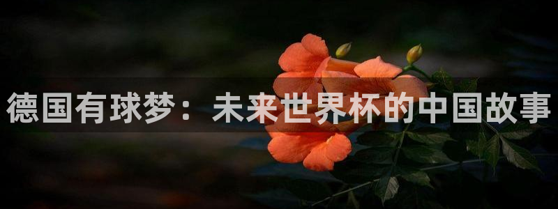 2026年世界杯直播平台:德国有球梦:未来世界杯的中国故事