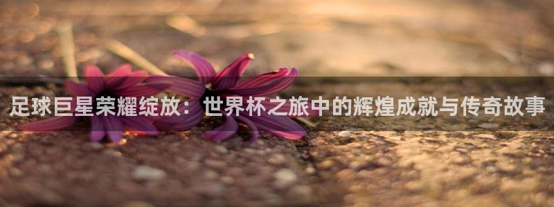 世界杯2026比赛时间表:足球巨星荣耀绽放:世界杯之旅中的辉煌成就与传奇故事